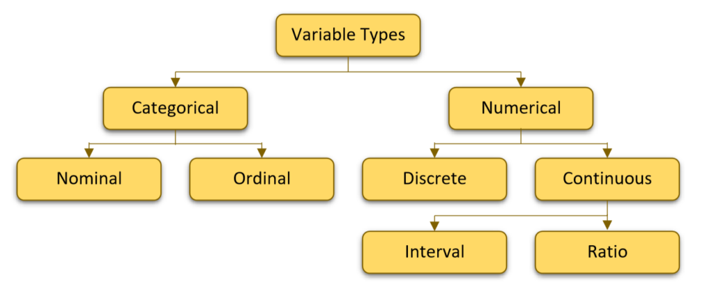 Statistics | Types of Variables | K2 Analytics