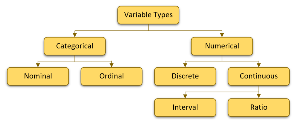 What Type Of Variable Is Siblings